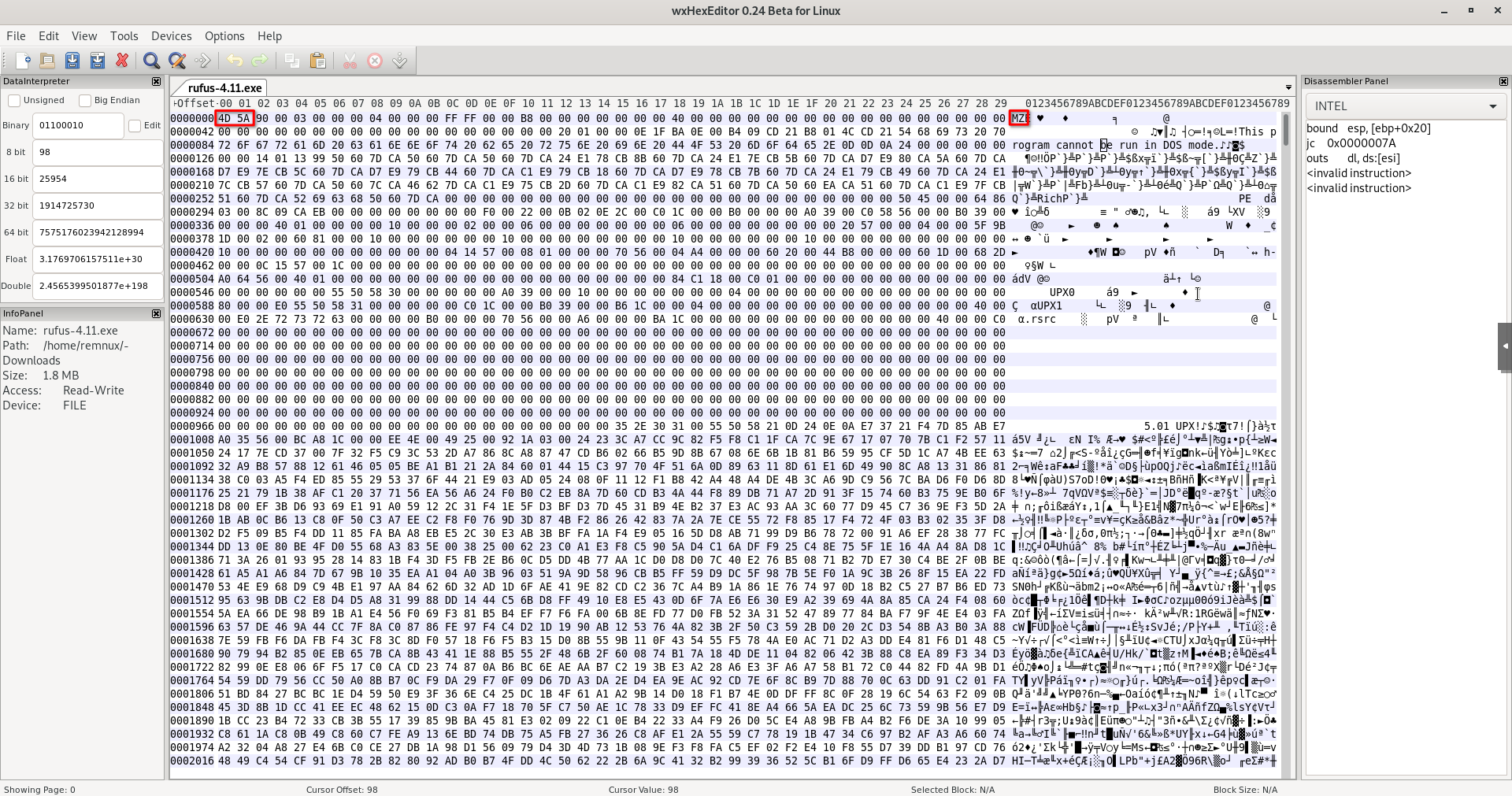 PE header in wxHexEditor