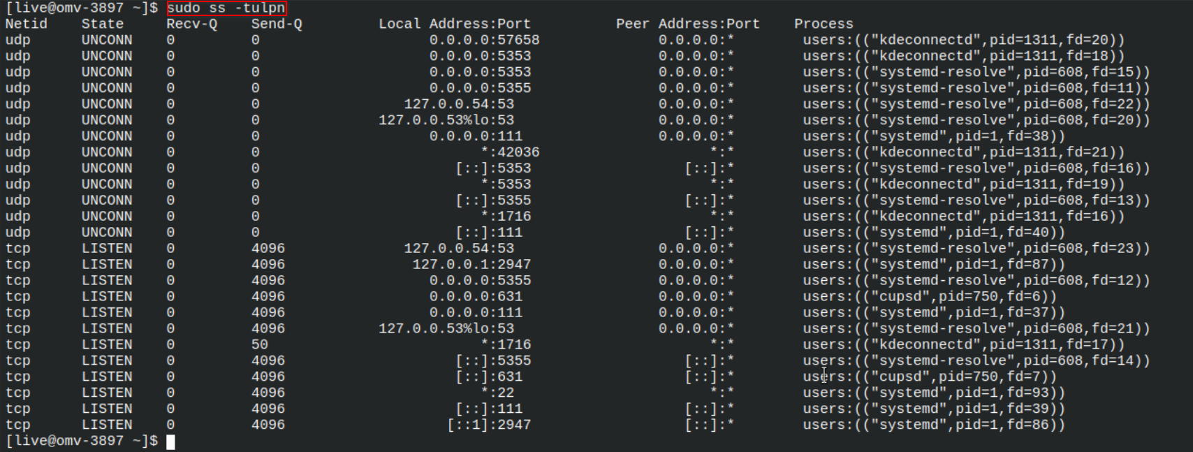 ss output showing listening services