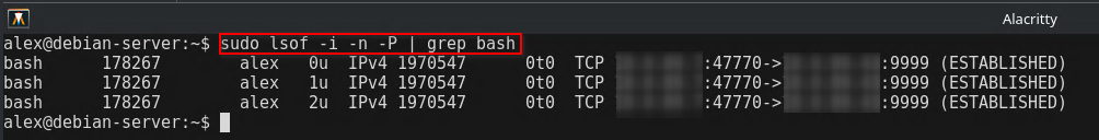 lsof showing suspicious reverse shell process