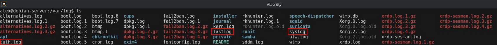 Analyzing system logs for reverse shell activity