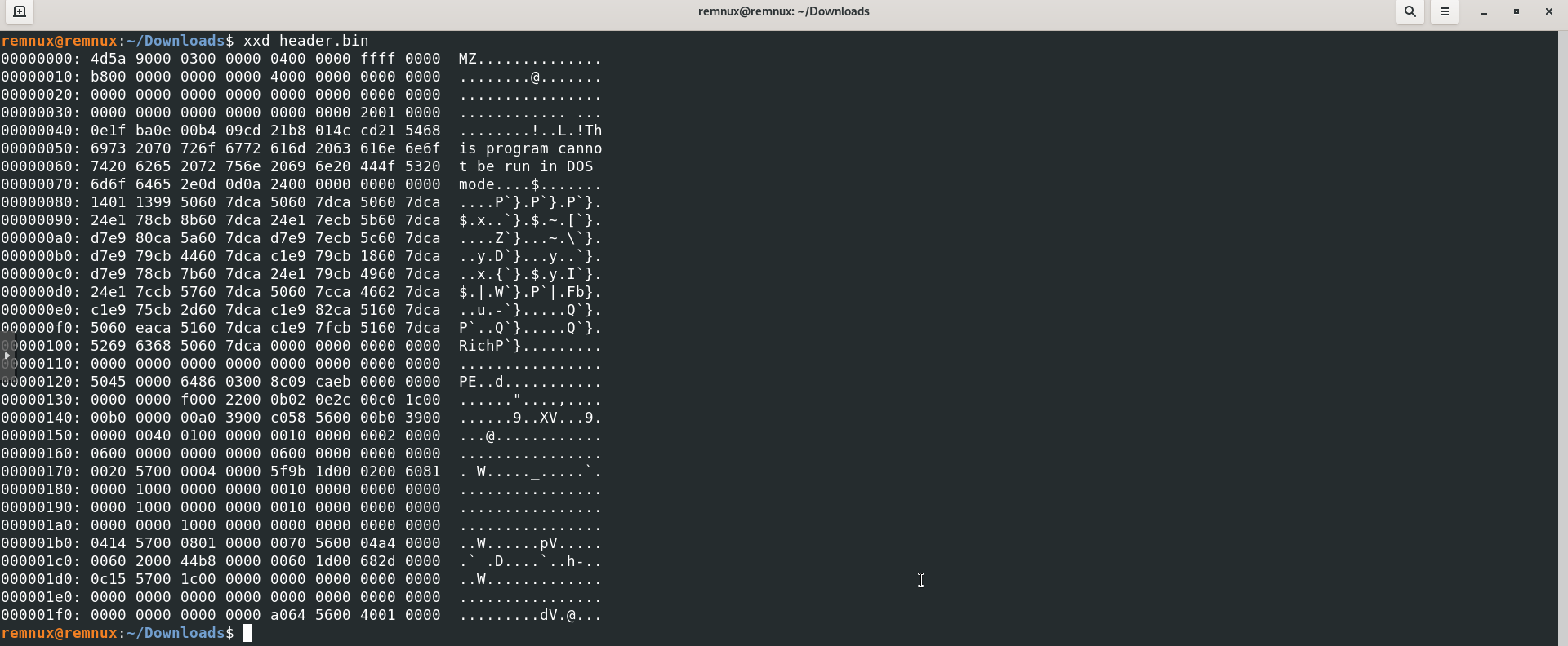 Hex dump of PE file using xxd